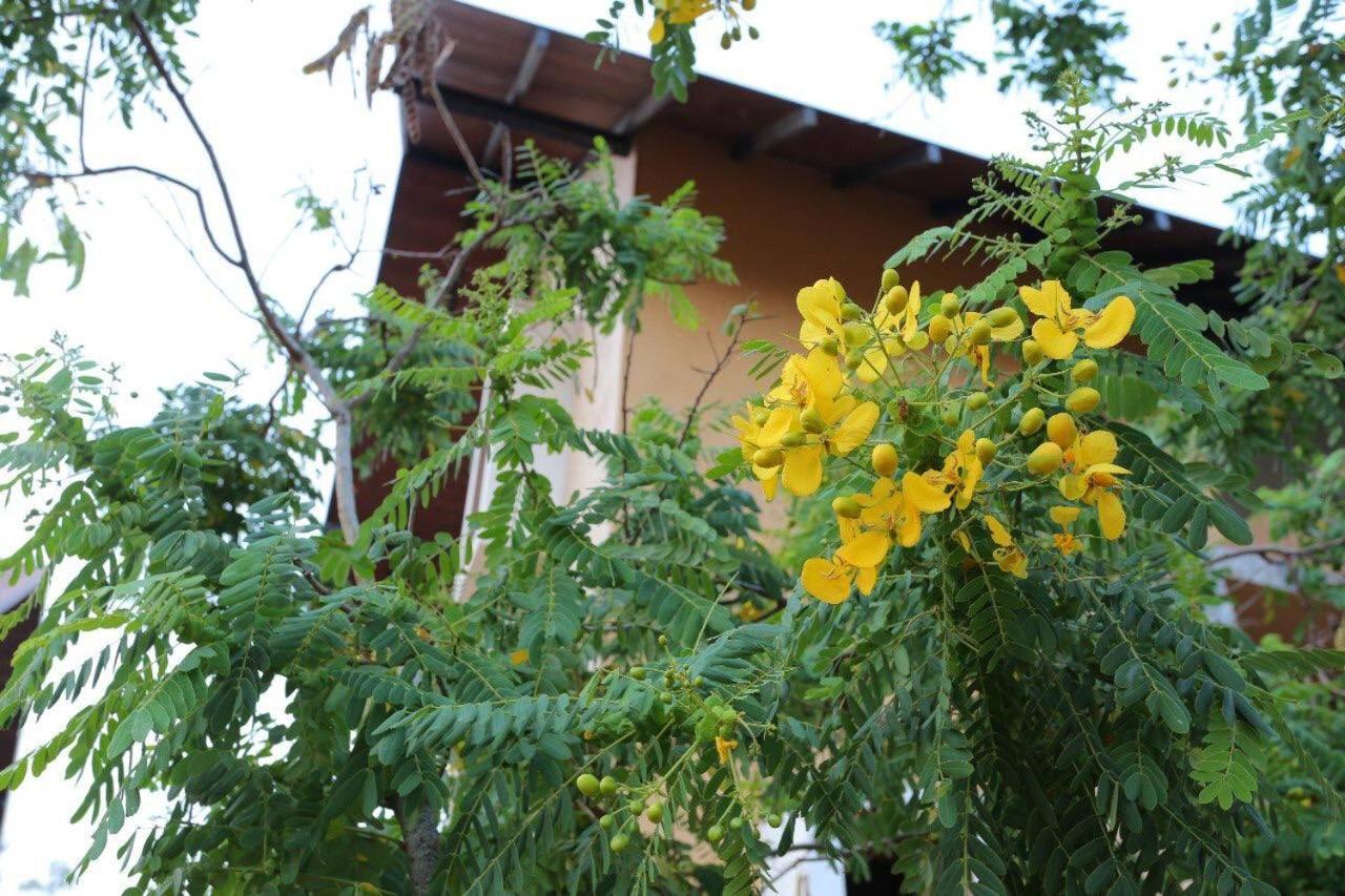 Lolu Village Resort 아누라다푸라 외부 사진